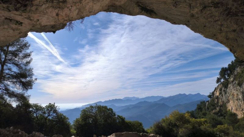 Habitamos la naturaleza